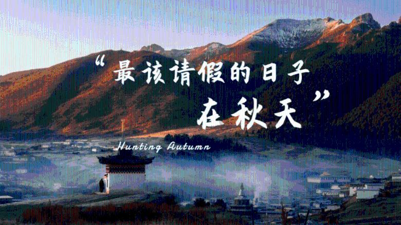 辽宁三杀广东,豪取5连胜!赵继伟爆发李虎翼奇兵,裁判无能为力
