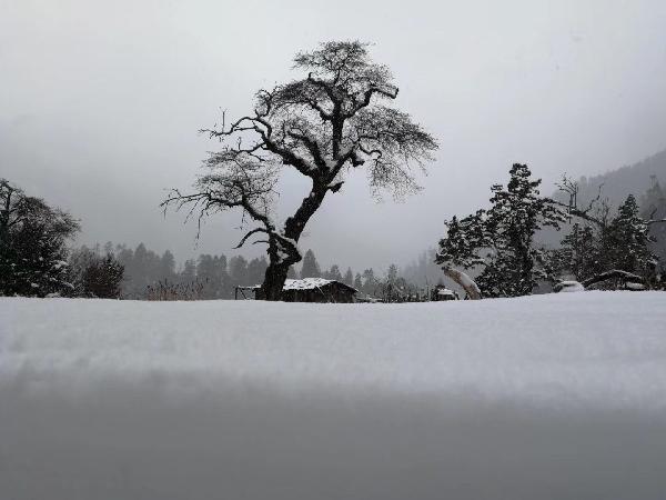 这4种食物比“地沟油”还脏是真的吗？答案或许会让你想吐