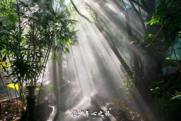 救援青龙